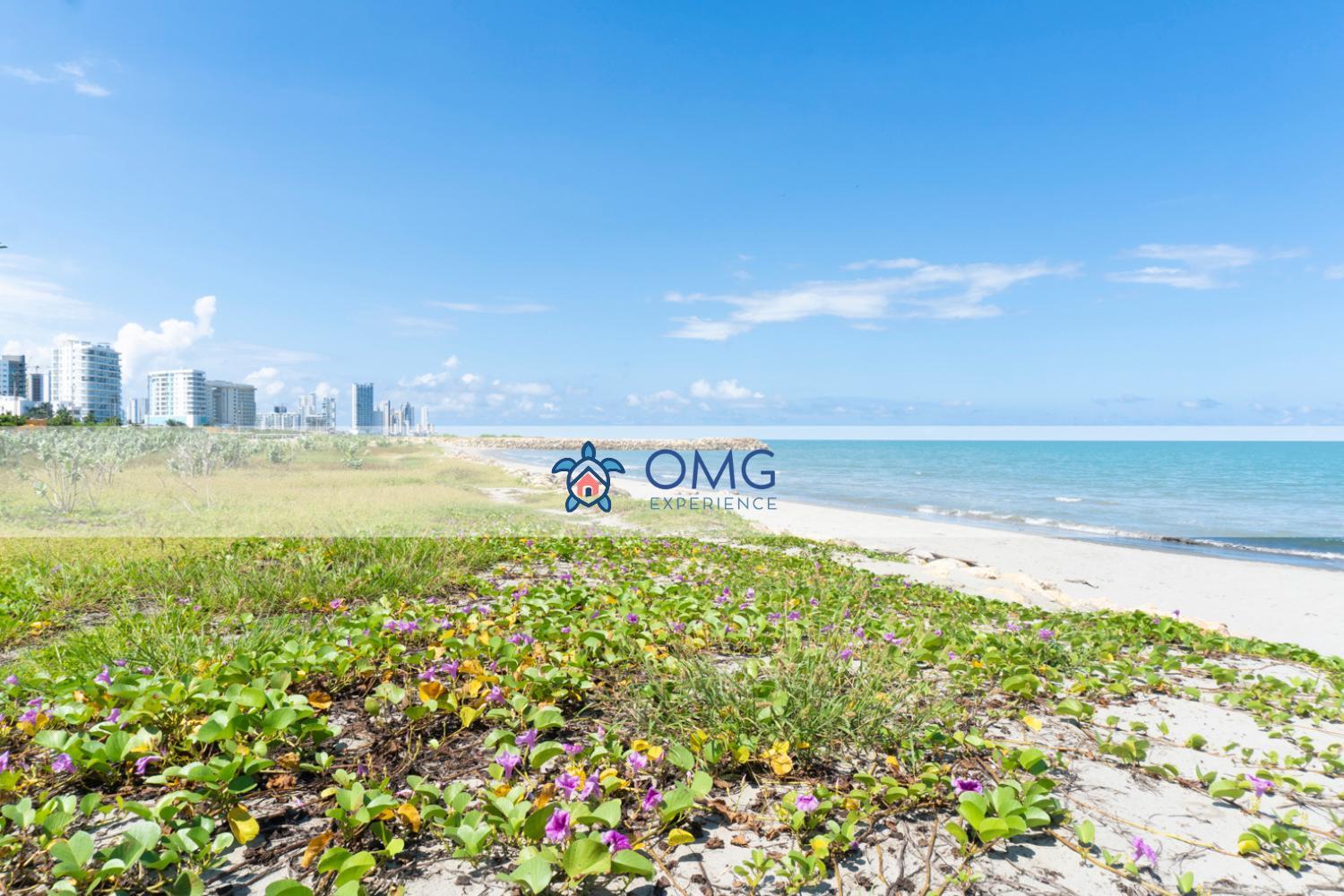 Cb931 | Ideal Familias Y Trabajo *